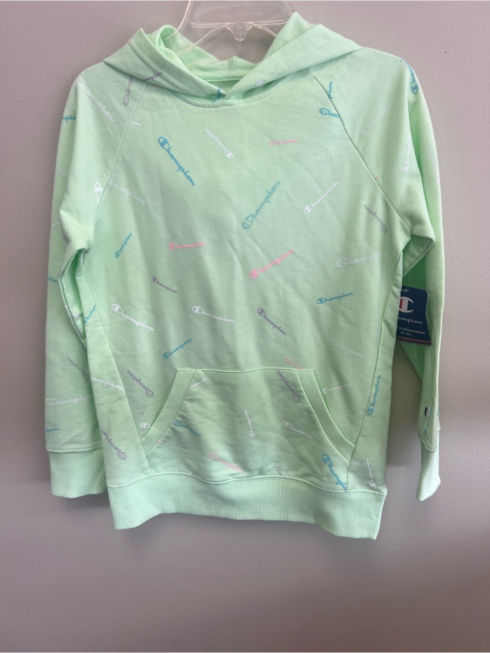NWT Champion lightweight hoodie